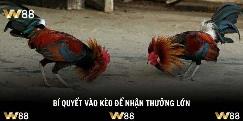 Nắm rõ công thức sẽ dễ dàng ăn thưởng lớn