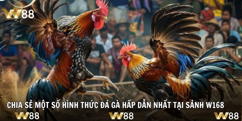 Chia sẻ một số hình thức đá gà hấp dẫn nhất tại sảnh W168