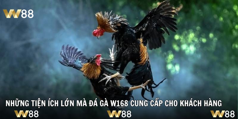 Những tiện ích lớn mà đá gà W168 cung cấp cho khách hàng