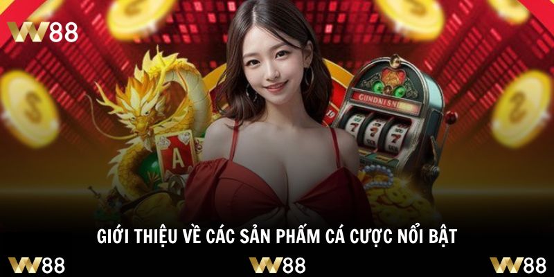 Mọi sản phẩm đình đám đều có mặt khi giới thiệu về đơn vị