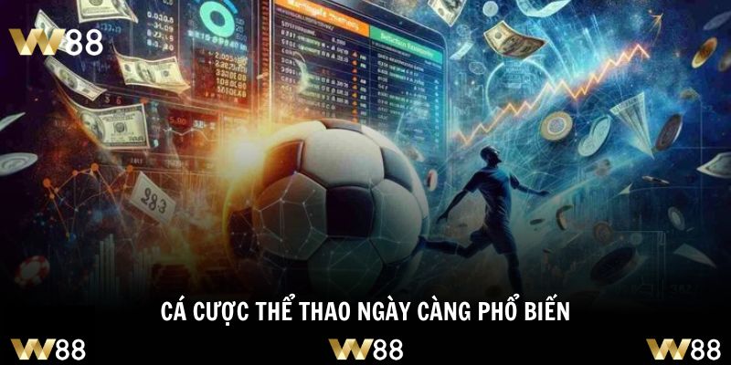 Thể thao có vai trò quan trọng với giá trị tinh thần và kinh tế